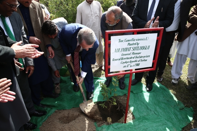 Çaykur, Pakistan'da çay fabrikası açtı